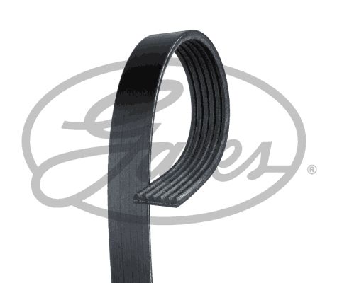 6PK736 Dayco Ремень поликлиновой Audi / Lada / Seat / Skoda / VW для 