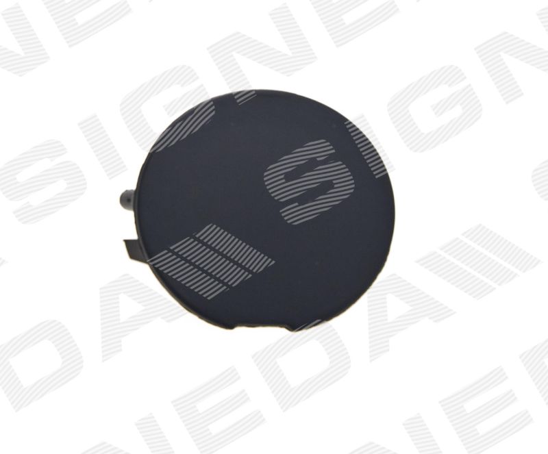 ЗАГЛУШКА КРЮКА PFD99250CA PFD99250CA