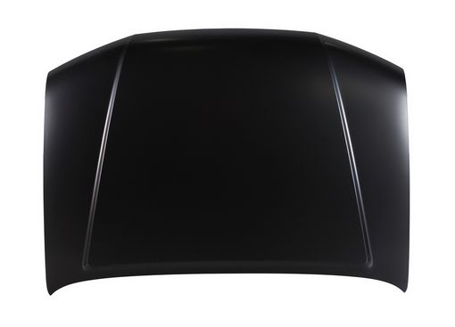 DS20093A TYG Капот 04-10г для 