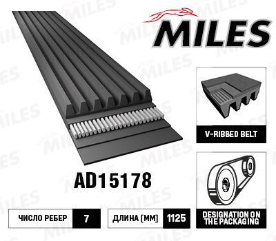 AD15178 Miles Ремень поликлиновой для 