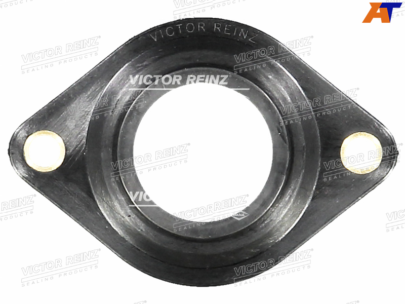 70-33393-00 Victor Reinz Прокладка клапана изменения фаз грм BMW 5(E39)/X5(E53) для 