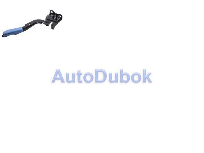 Петля капота правая TY2408CAR TY2408CAR